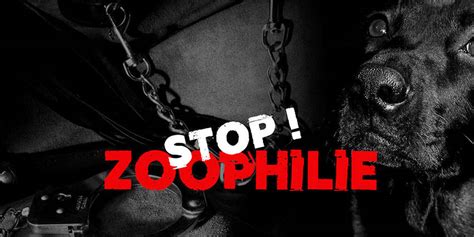 Vidéos zoophiles et pornos bestiaux gratuits